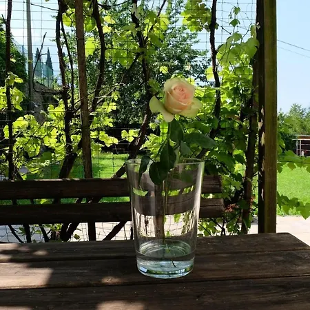 In Collina 4* Trient